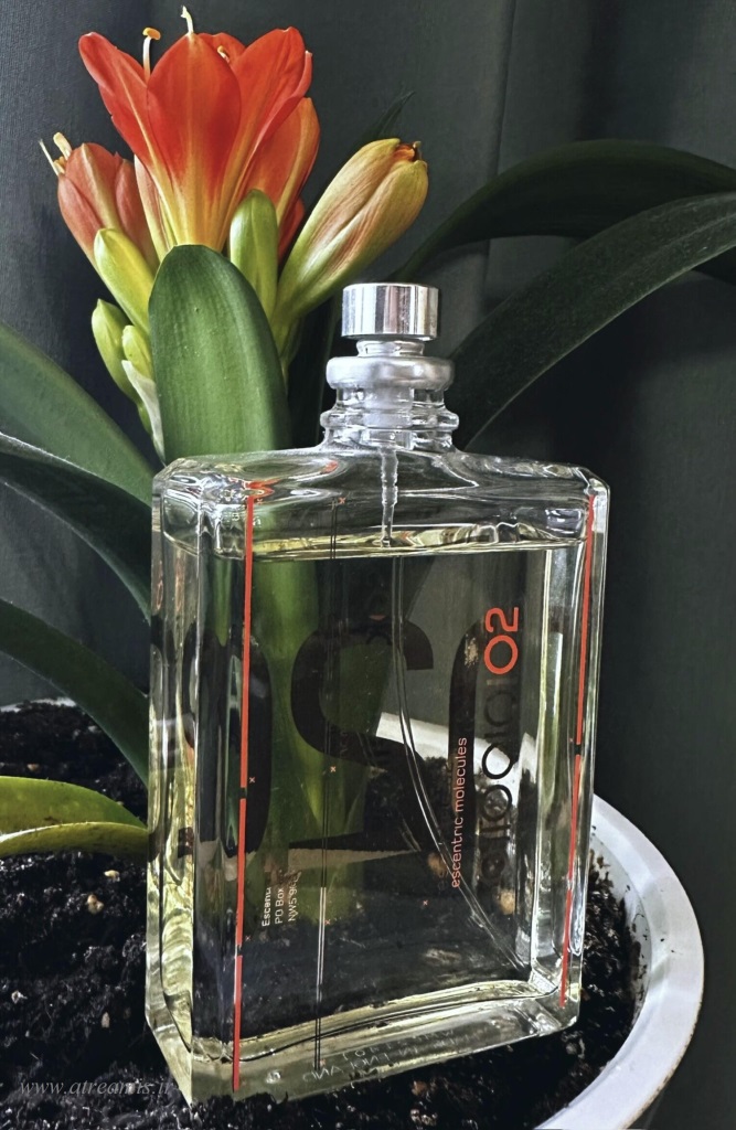 عطر گای لاروش دراکارنویر