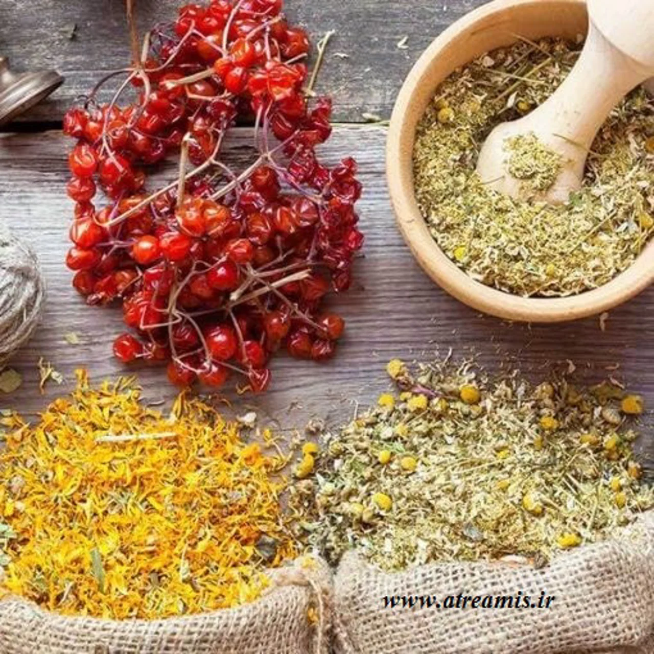 تاریخچه عطر و ادکلن؛ سفری از مصر باستان تا دنیای مدرن