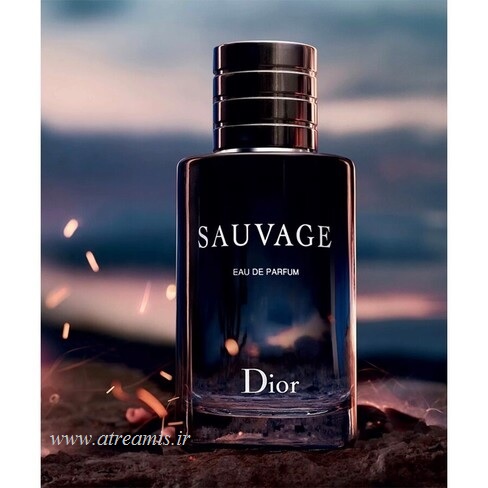 عطر دیور ساواج