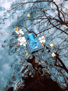 اسانس عطر ورساچه اروس