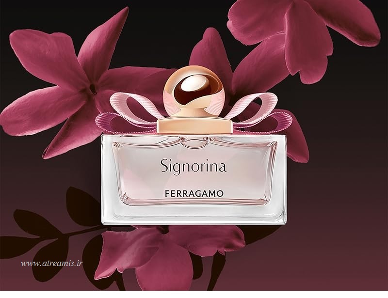 عطر سیگنورینا سالواتوره فراگامو