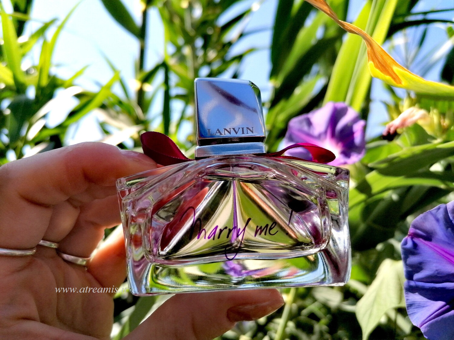 عطر لانوین مری می