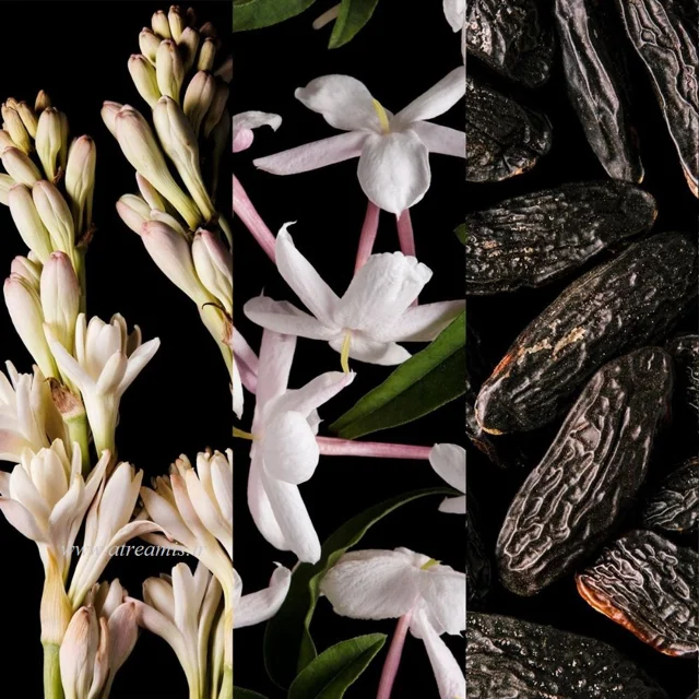 عطر کارولینا هررا گود گرل با طبع گرم و شیرین