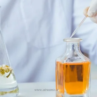 عجیب‌ترین مواد اولیه عطر که باور نمی‌کنید در رایحه‌های لوکس استفاده می‌شوند!