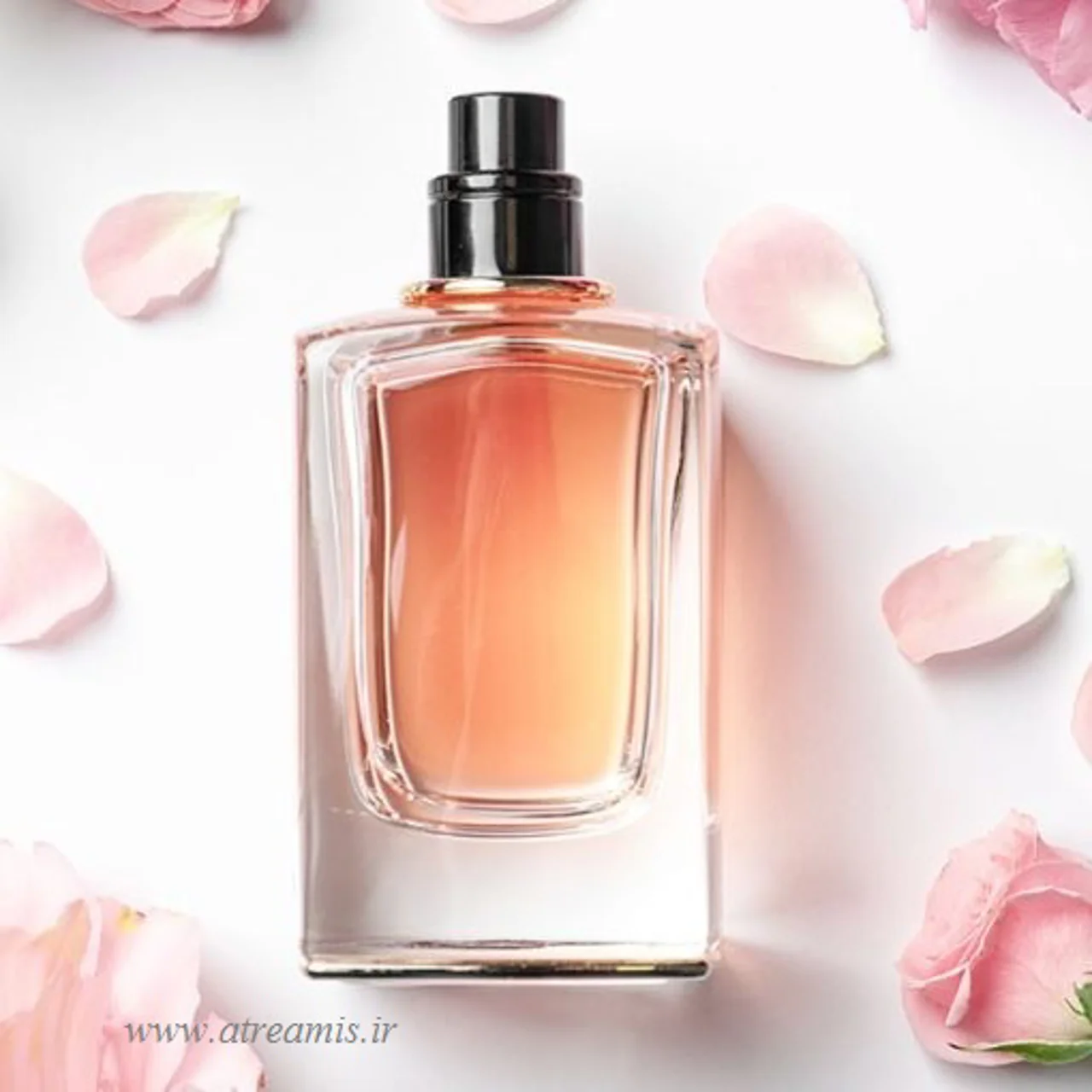 عطر نیش (Niche Fragrance) چیست؟ هر آنچه باید درباره عطرهای نیش بدانید