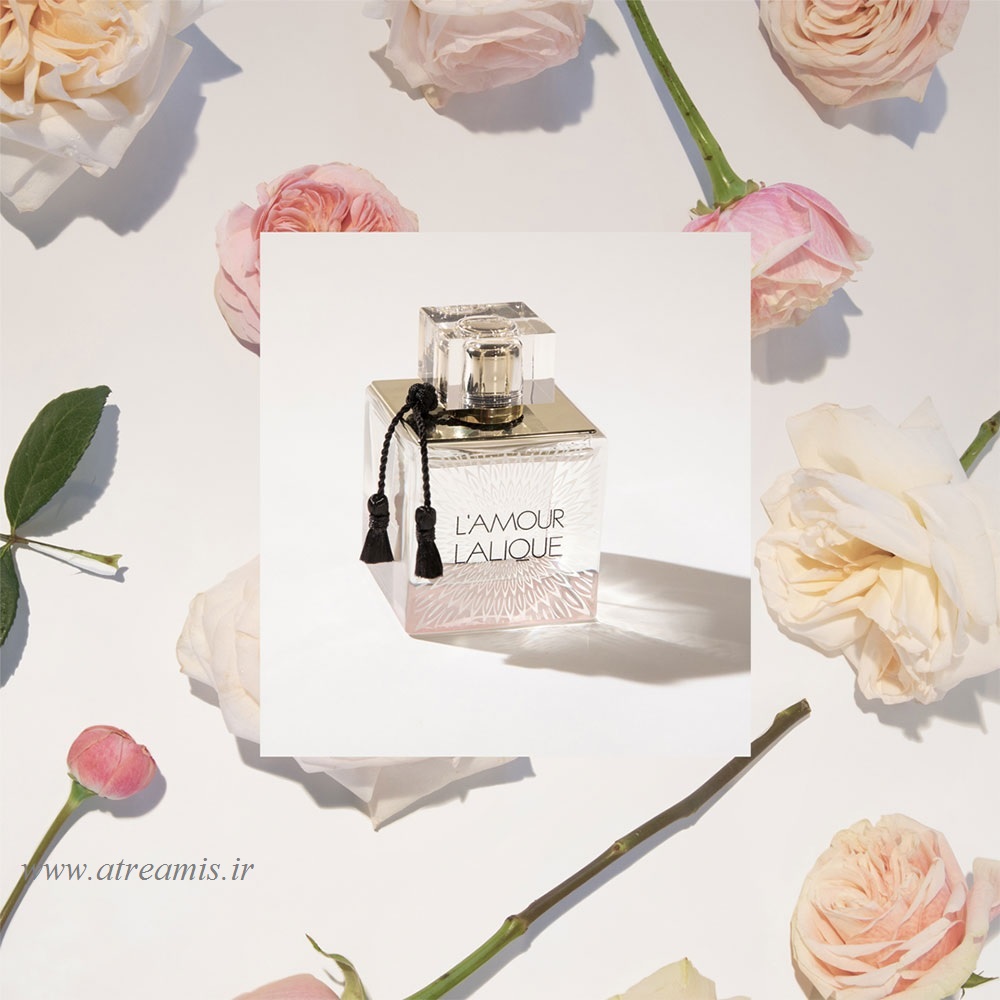 عطر لالیک لامور